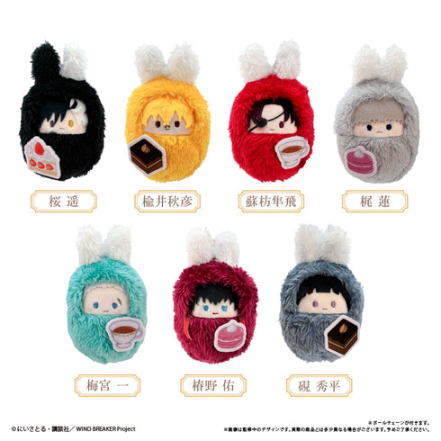 『WIND BREAKER』くるみたぴぬい アフタヌーンティーVer.【BOX】