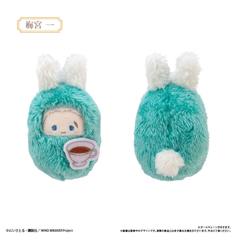 『WIND BREAKER』くるみたぴぬい アフタヌーンティーVer.【BOX】