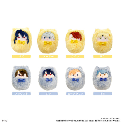 『魔法使いの約束』くるみたぴぬい Vol.1【BOX】