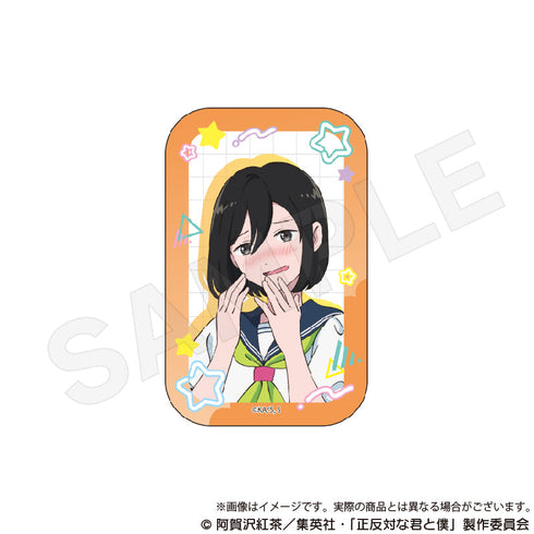 『正反対な君と僕』トレーディングスクエア缶バッジ【BOX】