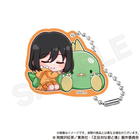 『正反対な君と僕』トレーディングアクリルキーホルダー ぎゃおコレVer.【BOX】