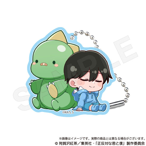 『正反対な君と僕』トレーディングアクリルキーホルダー ぎゃおコレVer.【BOX】