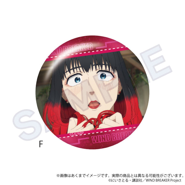 『WIND BREAKER』場面写缶バッジ F