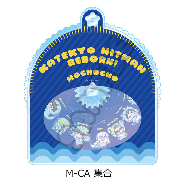 《家庭教师Hitman REBORN!》第5弹 大型亚克力立牌 M-CA 合集