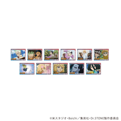 『Dr.STONE』アクリルカード19/コンプリートセット(全11種)(場面写イラスト)