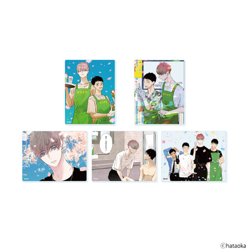 "Part-Time Worker Miyagawa Likes the Store Manager" Acrylic Card 01 / Complete Set (5 Varieties) (Official & Newly Drawn Illustrations)