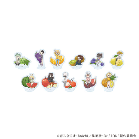 『Dr.STONE』アクリルぷちスタンド21/フルーツver. コンプリートセット(全11種)(グラフアートイラスト)