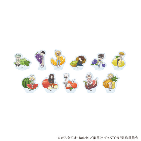『Dr.STONE』アクリルぷちスタンド21/フルーツver. コンプリートセット(全11種)(グラフアートイラスト)