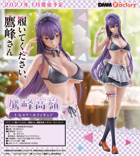 "Please Put Them On, Takamine-san" Takamine Takane 1/6 Scale Figure
