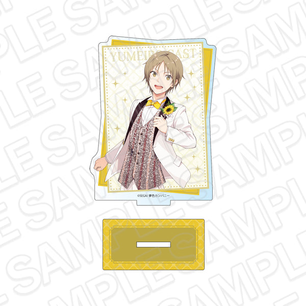 "Yumeiro Cast" Card-Style Glitter Acrylic Stand: Hinata Sakuragi 10th Anniversary Ver.