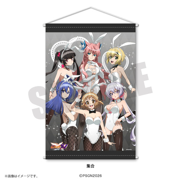 『戦姫絶唱シンフォギア』B2タペストリー 集合 白バニーver.