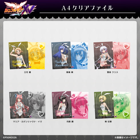 《戰姬絕唱 Symphogear》A4透明文件夾 立花響 白色兔女郎版