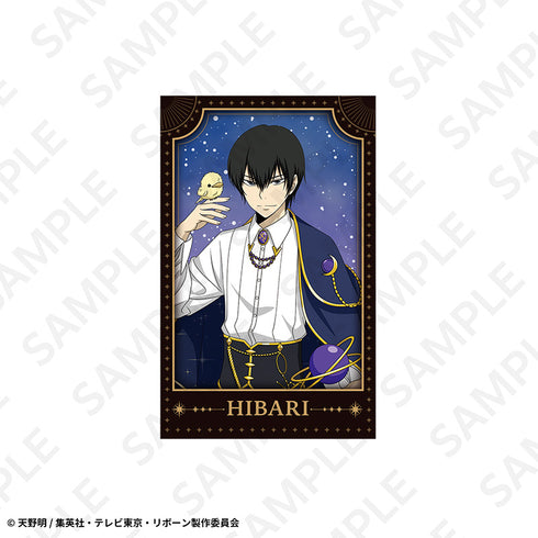 《家庭教师Hitman REBORN!》宝丽卡照片集 星座版【套装】