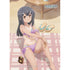 『Fate/kaleid liner プリズマ☆イリヤ Licht 名前の無い少女』描き下ろしB2タペストリー(美遊/日焼け)Wスエード