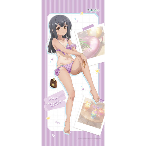 『Fate/kaleid liner プリズマ☆イリヤ Licht 名前の無い少女』描き下ろし特大タペストリー(美遊/日焼け)