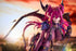 『竜姫士 コリディス』PF376