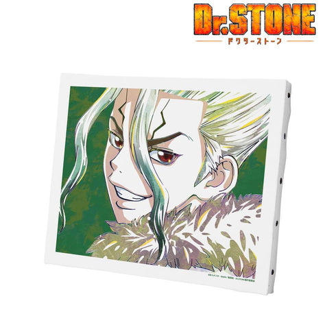 『Dr.STONE』石神千空 Ani-Art 第2弾 キャンバスボード【202510再販】