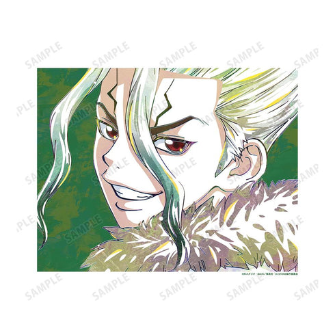 『Dr.STONE』石神千空 Ani-Art 第2弾 キャンバスボード【202510再販】