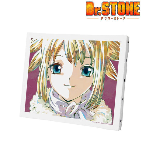 『Dr.STONE』コハク Ani-Art 第2弾 キャンバスボード【202510再販】