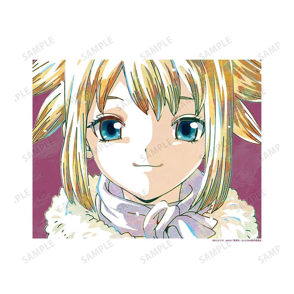 《Dr.STONE》琥珀 Ani-Art 第二彈 畫布板【202609 再版】