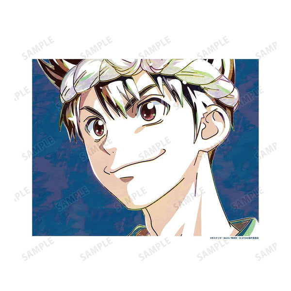 《Dr.STONE》克羅姆 Ani-Art 第2彈 畫布板【202609再版】