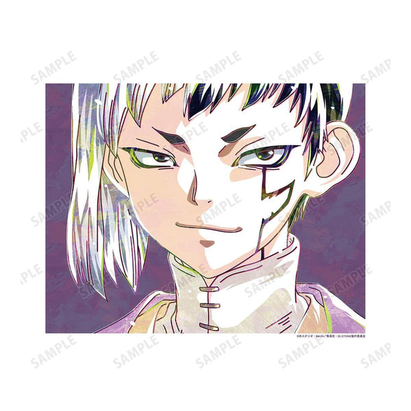 《Dr.STONE》朝霧源 Ani-Art 第2彈 畫布板【202609 再版】