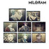 《MILGRAM -米尔格拉姆-》交易卡 MV 亚克力卡 卡兹伊 《half》(单位/盒)【202606再版】