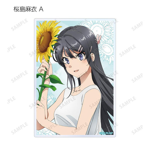 『青春ブタ野郎はバニーガール先輩の夢を見ない』描き下ろしイラスト ひまわりと白いワンピースver. トレーディングアクリルカード(単位/BOX)【202507再販】