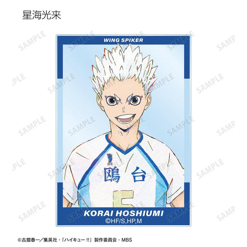 『ハイキュー!!』トレーディング Ani-Art 第6弾 アクリルカード(単位/BOX)【202506再販】