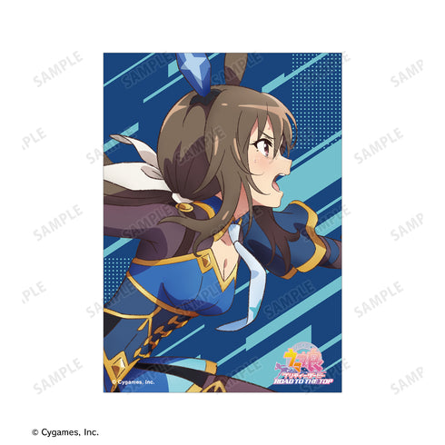 『ウマ娘 プリティーダービー ROAD TO THE TOP』アドマイヤベガ ブロマイド 3枚セット