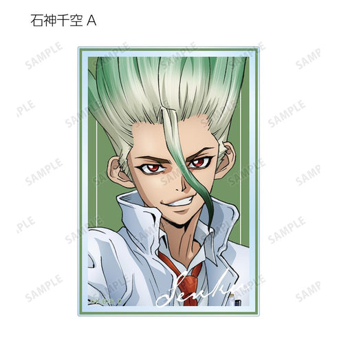『Dr.STONE』描き下ろしイラスト 石化前ver. トレーディングアクリルカード(単位/BOX)【202510再販】