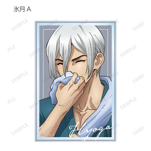 『Dr.STONE』描き下ろしイラスト 石化前ver. トレーディングアクリルカード(単位/BOX)【202510再販】