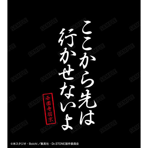 『Dr.STONE』ここから先は行かせないよ Tシャツレディース【202510再販】