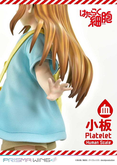 『はたらく細胞』ライフスケールマスターライン 血小板