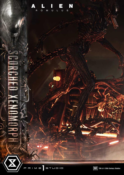 『エイリアン:ロムルス』ミュージアムマスターライン XL スコーチド ゼノモーフ