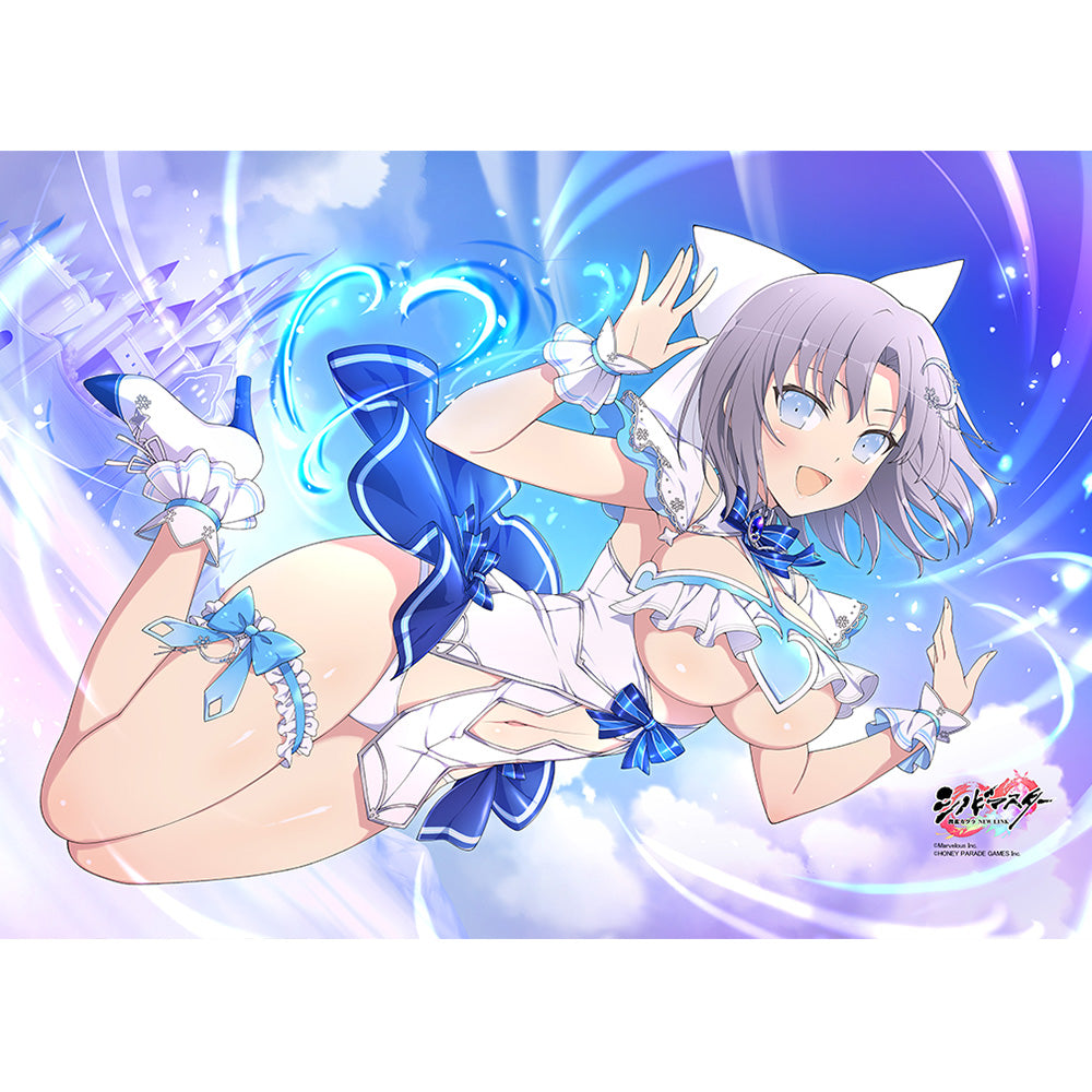 シノビマスター 閃乱カグラ NEW LINK』B2タペストリー(雪泉/新乳祭・弐) – Anime Store JP