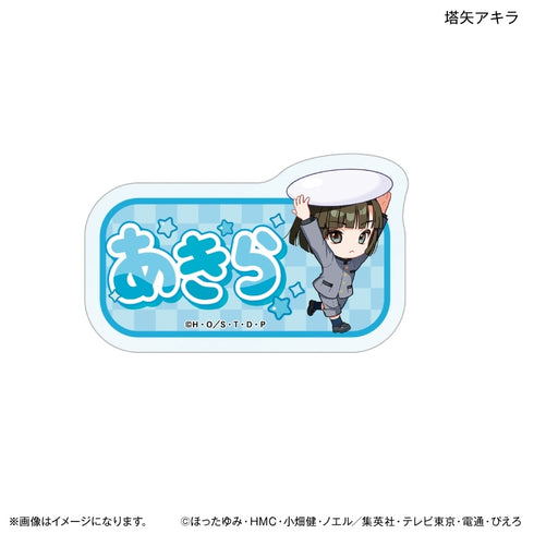 《棋魂 力满 姓名亚克力徽章 塔矢明》