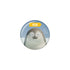 "SEALOOK" Pin / 18 018 Grey Seal