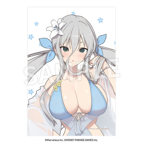 『閃乱カグラ』枕カバー 閃光Ver.