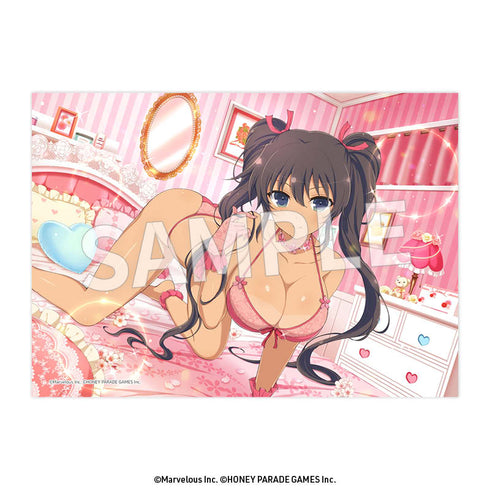 『閃乱カグラ』2L判ブロマイド Vol.5【BOX】