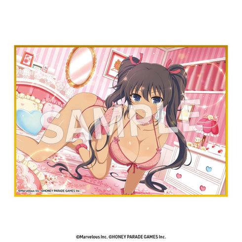 『閃乱カグラ』A6判ミニ色紙【BOX】
