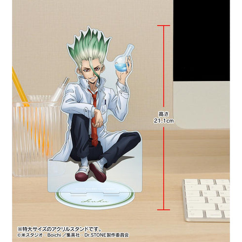 『Dr.STONE』描き下ろしイラスト 石神千空 石化前ver. 特大アクリルスタンド【202412再販】