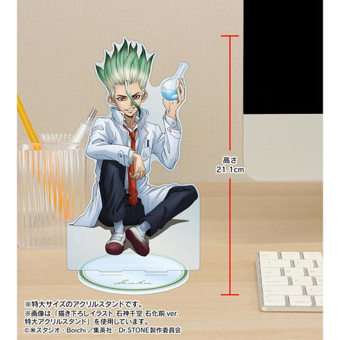 『Dr.STONE』描き下ろしイラスト 西園寺羽京 石化前ver. 特大アクリルスタンド【202510再販】
