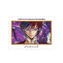 《Code Geass 反叛的魯路修》魯路修 grunge CANVAS A3 霧面處理海報 ver.E【202605 再版】