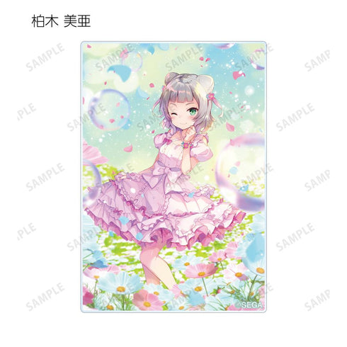 『オンゲキ bright MEMORY』トレーディング デイドリーム・フェアリーズ アクリルカード(単位/BOX)【202510再販】