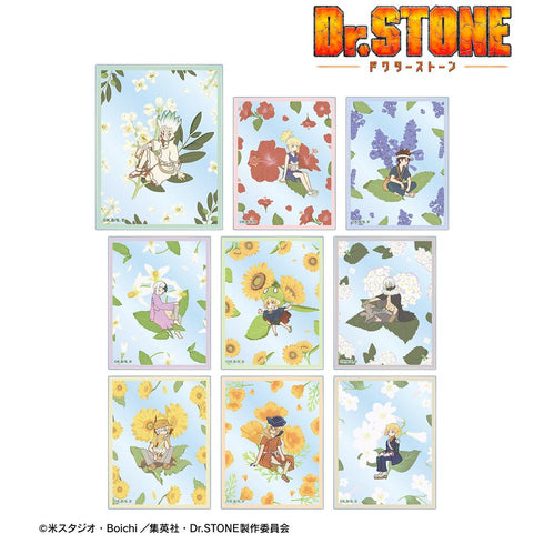 『Dr.STONE』トレーディング Botania アクリルカード(単位/BOX)【202510再販】