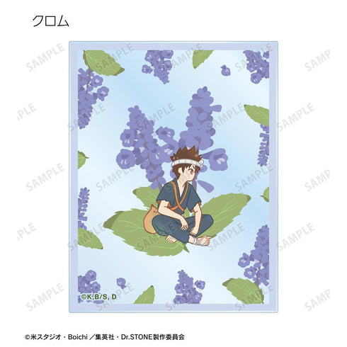 『Dr.STONE』トレーディング Botania アクリルカード(単位/BOX)【202510再販】