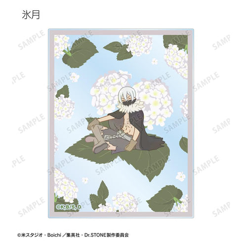『Dr.STONE』トレーディング Botania アクリルカード(単位/BOX)【202510再販】