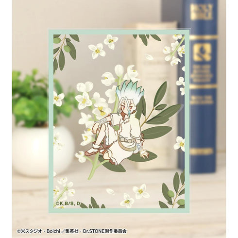 『Dr.STONE』トレーディング Botania アクリルカード(単位/BOX)【202510再販】