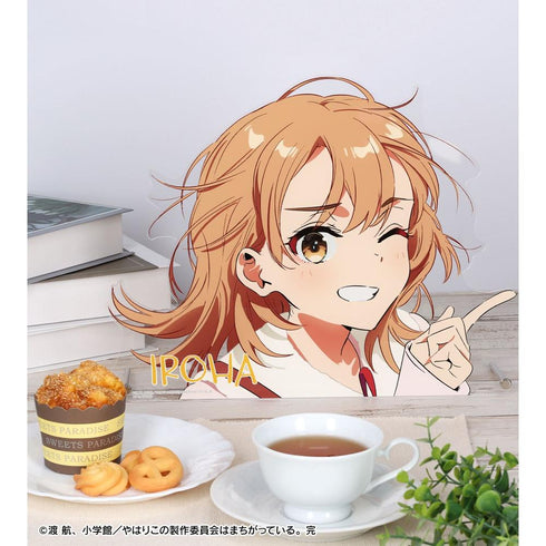 《我的青春戀愛喜劇果然有問題。完》全新繪製 一色伊呂波 私服版 Art by ケロリラ 特大模切壓克力板【202605再版】